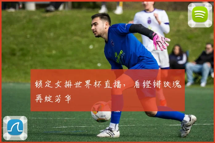 锁定女排世界杯直播,看铿锵玫瑰再绽芳华