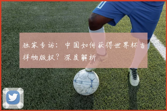 独家专访:中国如何获得世界杯吉祥物版权?深度解析