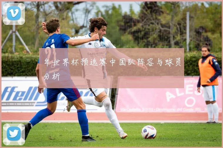 年世界杯预选赛中国队阵容与球员分析