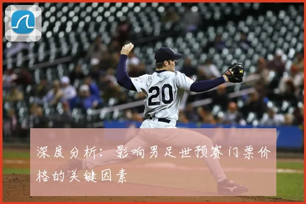 深度分析:影响男足世预赛门票价格的关键因素