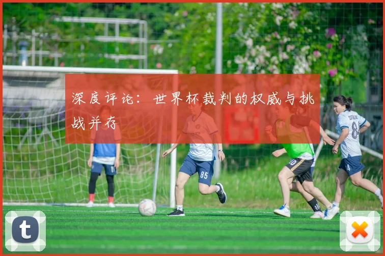 深度评论：世界杯裁判的权威与挑战并存